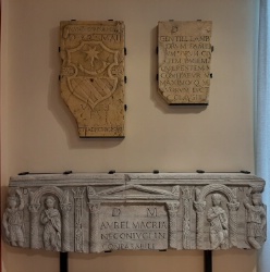 I tre calchi arrivati al Past di Montichiari