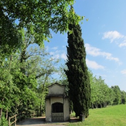 Calcinato (Brescia) - 
Antiche sepolture vengono alla luce in un fosso nel corso di lavori del consorzio Mediochiese.
Il Gruppo Archeologico di Montichiari interviene con uno scavo archeologico demergenza.
