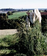 Una veduta di Monte Rotondo dalla sommit di Monte S.Giorgio
